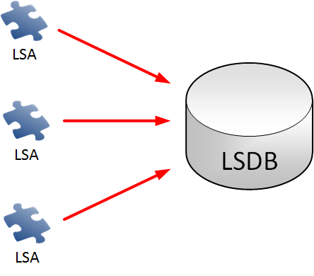 lsa into lsdb