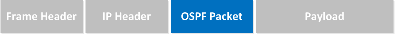 OSPF Header