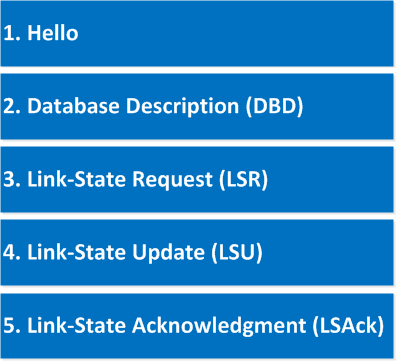 OSPF Packets