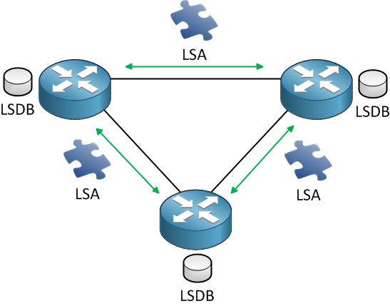 Routers LSDB LSA