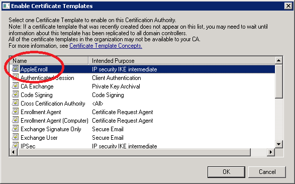 Windows Server 2008 CA Enable Certificate Template