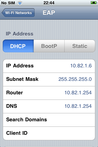 iPhone DHCP Lease