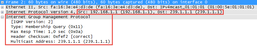 multicast igmp version 2 membership query