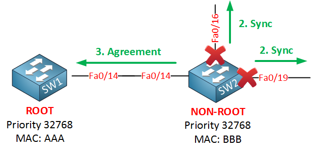 rapid spanning tree agreement
