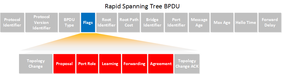 Rapid Spanning-Tree BPDU Header