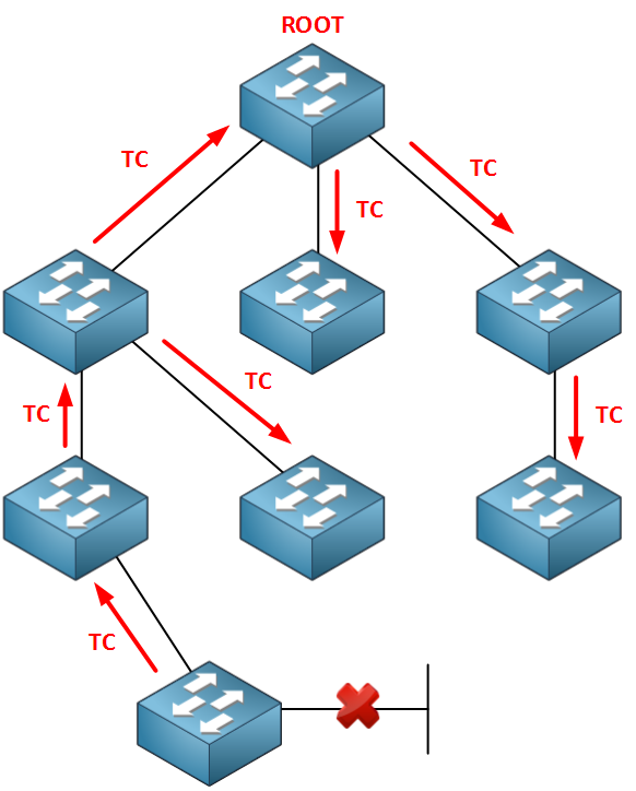 Rapid Spanning Tree TCN Flooding