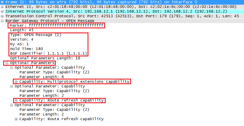 Wireshark Capture BGP Open Message
