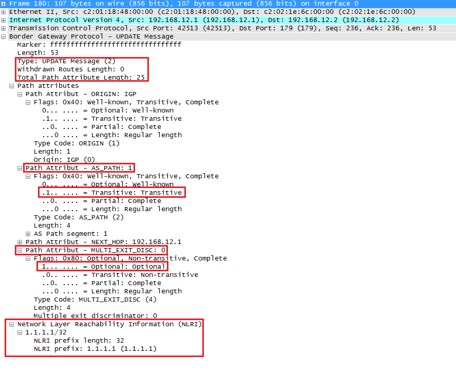 Wireshark Capture BGP Update Route Message