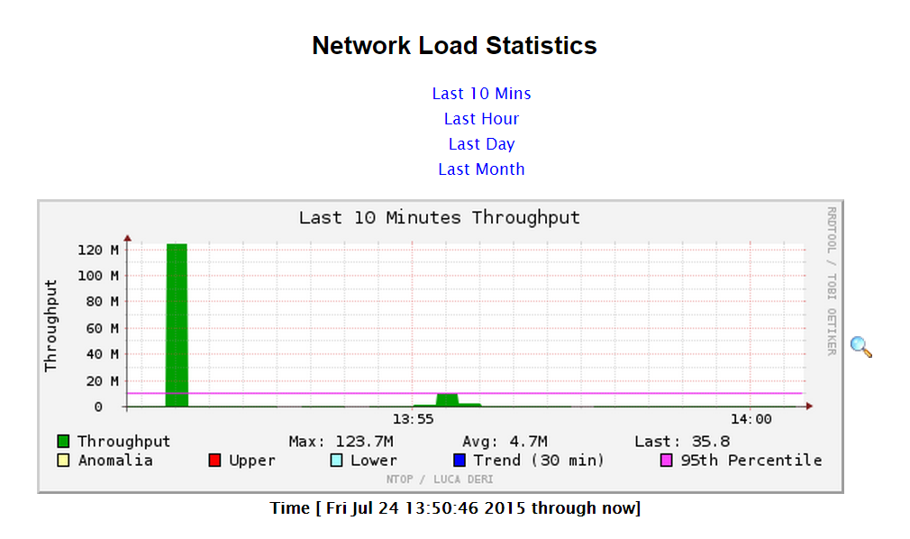 ntop network statistics