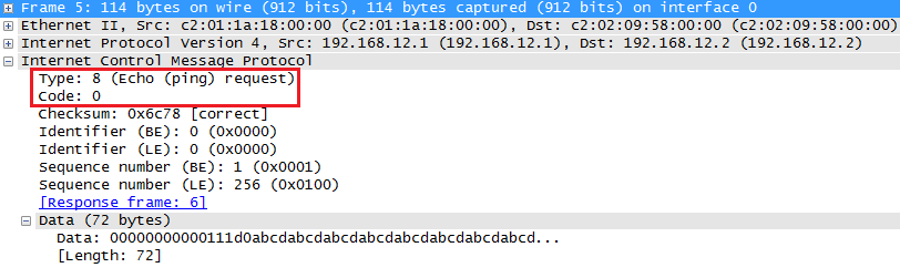 Wireshark Capture Echo Request