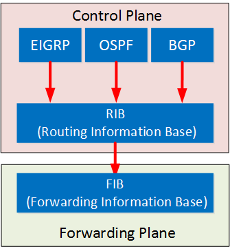 control plane rib forwarding plane fib