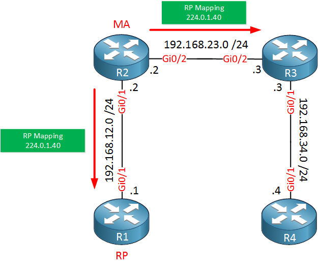 Multicast Auto RP Topology MA Announcement