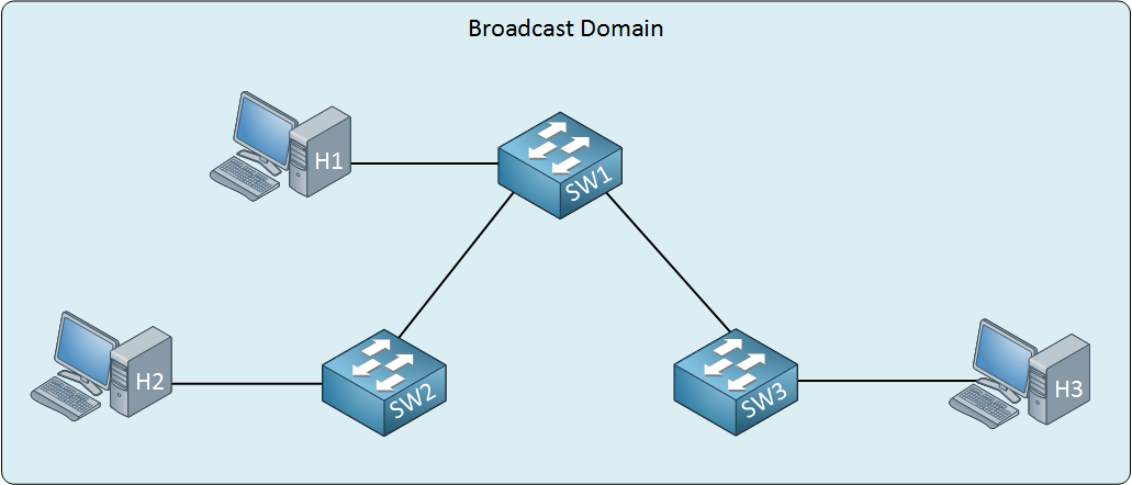 switch single broadcast domain