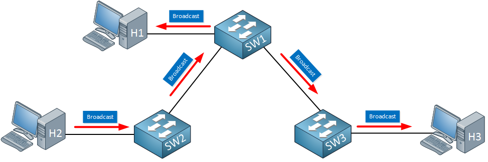 switches forward broadcast traffic