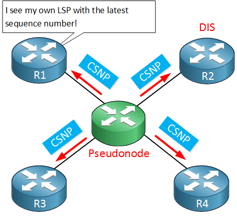 is-is R1 sees own lsp pseudonode csnp