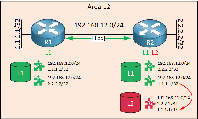 is-is routers area 12 level 1-2 adjacency