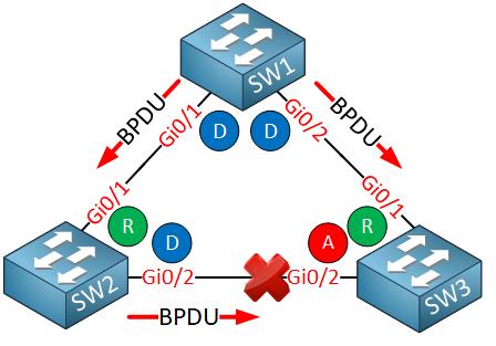 three switches sending bpdus stp port states