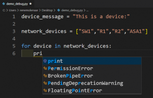 Python Integrated Development Environment (IDE)